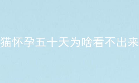 猫怀孕五十天为啥看不出来