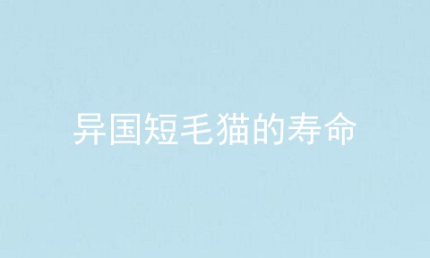 异国短毛猫的寿命
