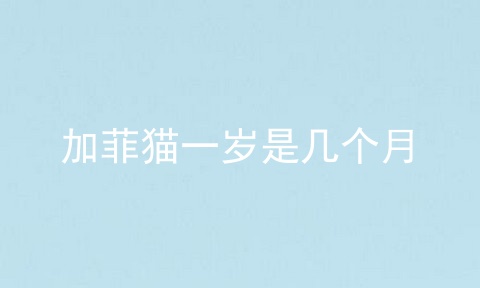 加菲猫一岁是几个月
