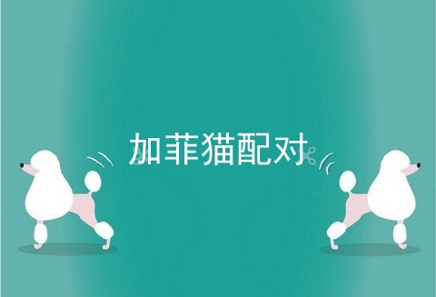 加菲猫配对