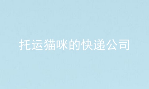 托运猫咪的快递公司