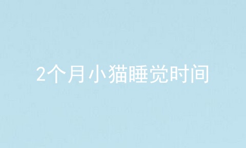 2个月小猫睡觉时间