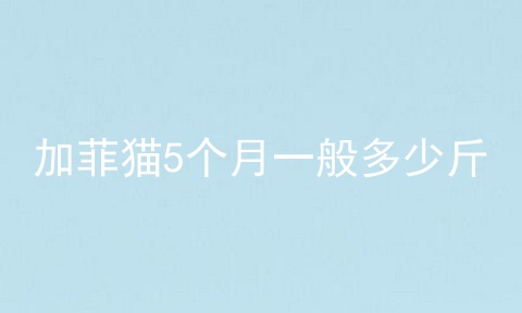 加菲猫5个月一般多少斤