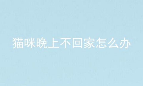 猫咪晚上不回家怎么办