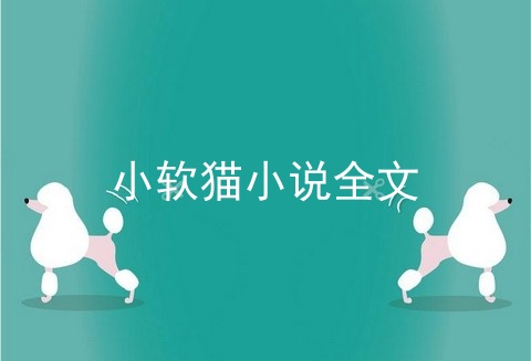 小软猫小说全文