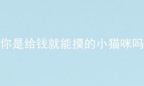 你是给钱就能摸的小猫咪吗