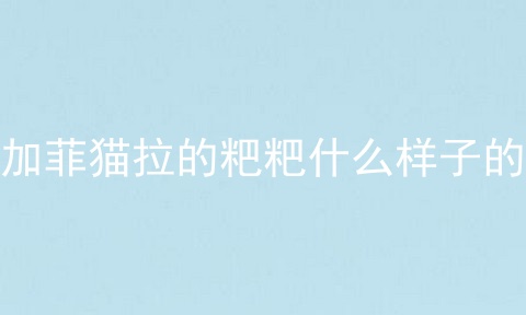 加菲猫拉的粑粑什么样子的