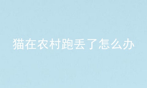 猫在农村跑丢了怎么办