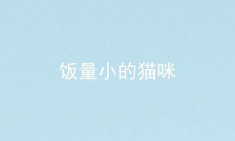 饭量小的猫咪