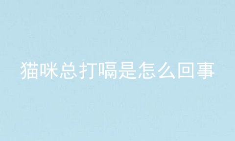 猫咪总打嗝是怎么回事