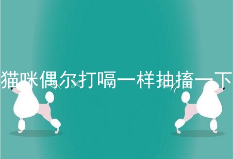 猫咪偶尔打嗝一样抽搐一下