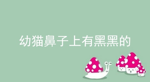 幼猫鼻子上有黑黑的