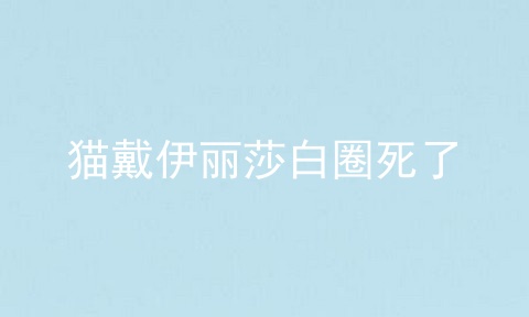 猫戴伊丽莎白圈死了
