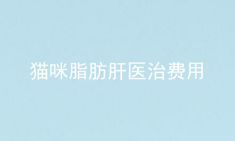 猫咪脂肪肝医治费用