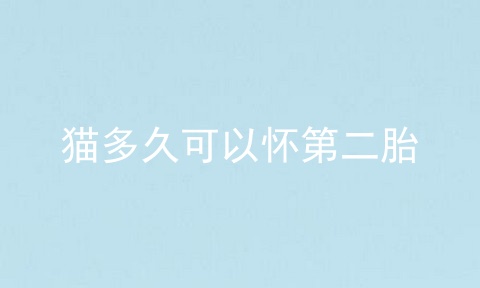 猫多久可以怀第二胎