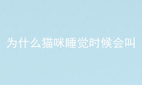 为什么猫咪睡觉时候会叫