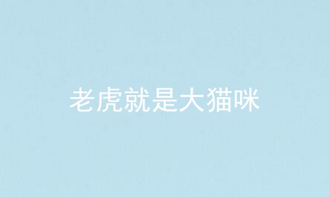 老虎就是大猫咪