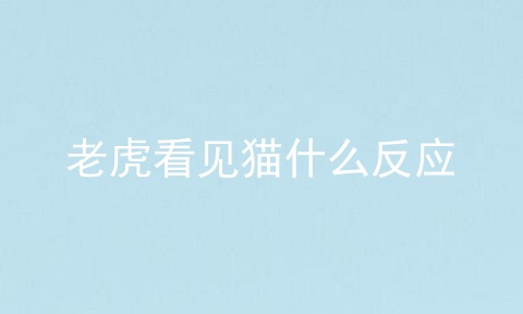 老虎看见猫什么反应