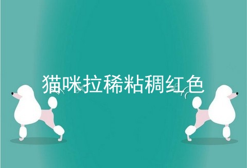 猫咪拉稀粘稠红色