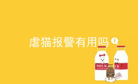 虐猫报警有用吗
