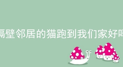 隔壁邻居的猫跑到我们家好吗