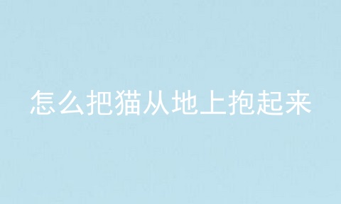 怎么把猫从地上抱起来