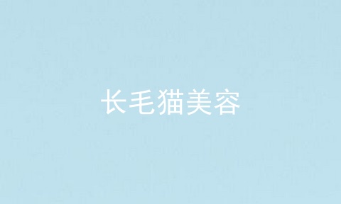 长毛猫美容