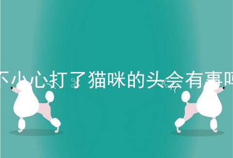 不小心打了猫咪的头会有事吗