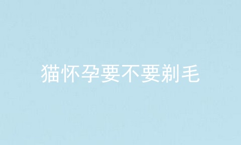 猫怀孕要不要剃毛
