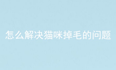 怎么解决猫咪掉毛的问题