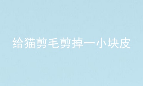 给猫剪毛剪掉一小块皮
