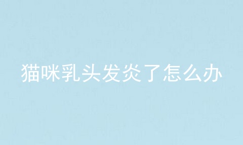 猫咪乳头发炎了怎么办