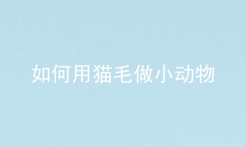 如何用猫毛做小动物