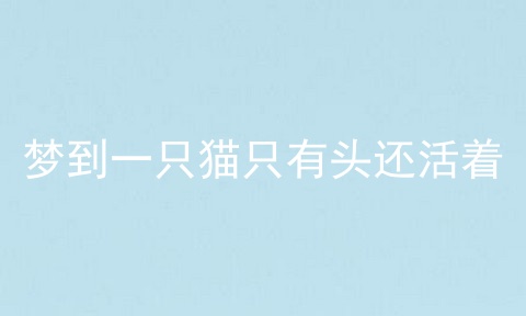 梦到一只猫只有头还活着