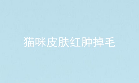 猫咪皮肤红肿掉毛