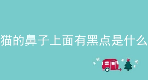 猫的鼻子上面有黑点是什么