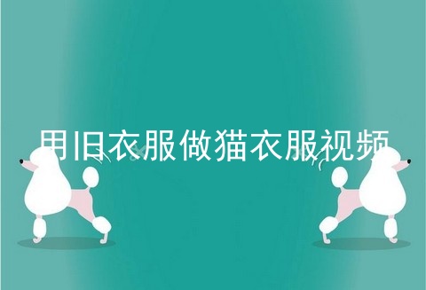 用旧衣服做猫衣服视频