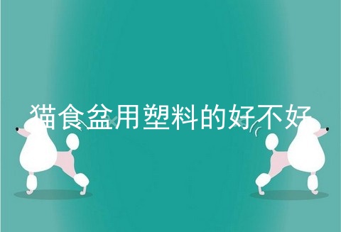 猫食盆用塑料的好不好