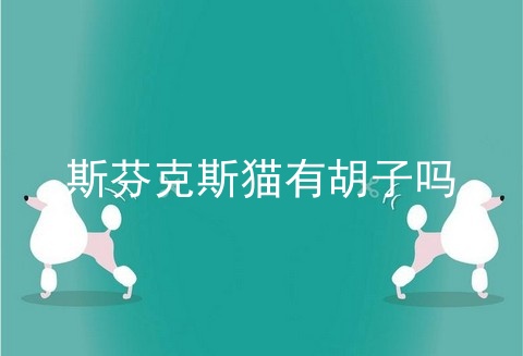 斯芬克斯猫有胡子吗