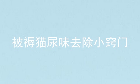 被褥猫尿味去除小窍门
