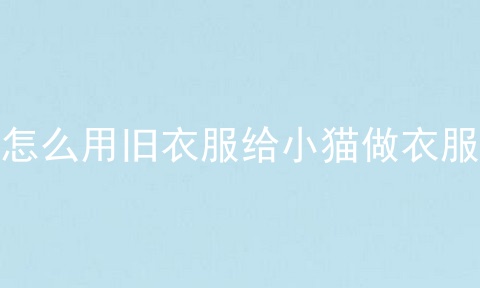 怎么用旧衣服给小猫做衣服