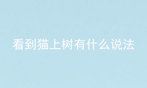 看到猫上树有什么说法