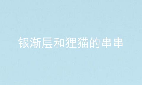 银渐层和狸猫的串串