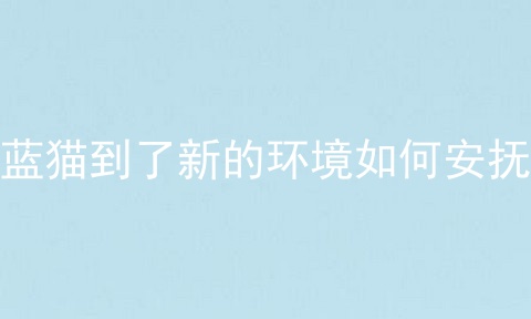 蓝猫到了新的环境如何安抚