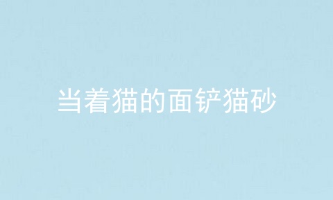 当着猫的面铲猫砂