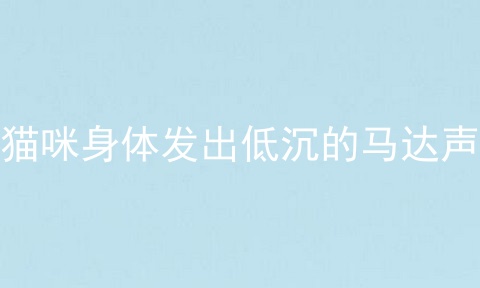 猫咪身体发出低沉的马达声