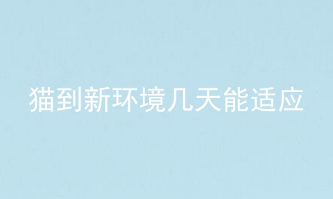 猫到新环境几天能适应