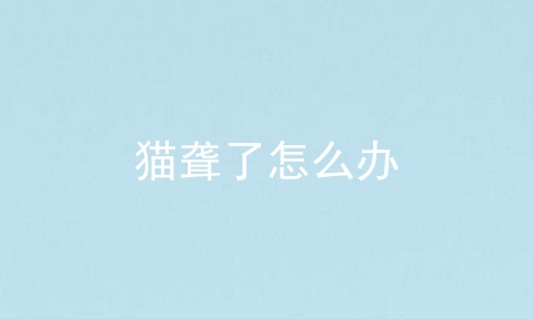 猫聋了怎么办
