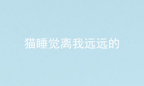 猫睡觉离我远远的