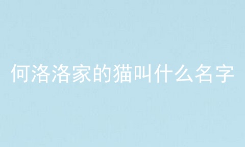 何洛洛家的猫叫什么名字
